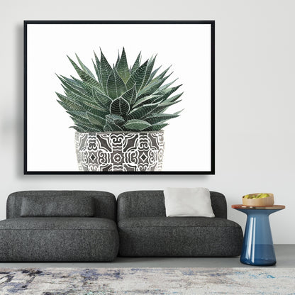 White Floral & Botanical Canvas - Zebra Plant Succulent Decor