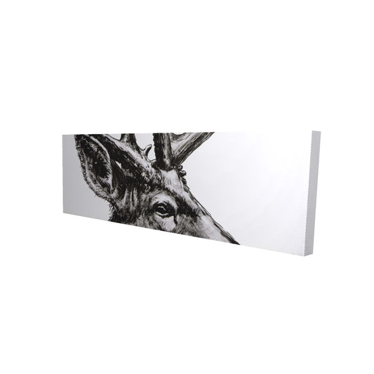 16"x48"