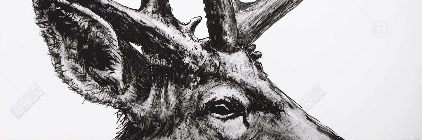 Roe Deer Plume Canvas | Rustic Bedroom Animals Wall Art Decor