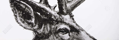 Roe Deer Plume Canvas | Rustic Bedroom Animals Wall Art Decor