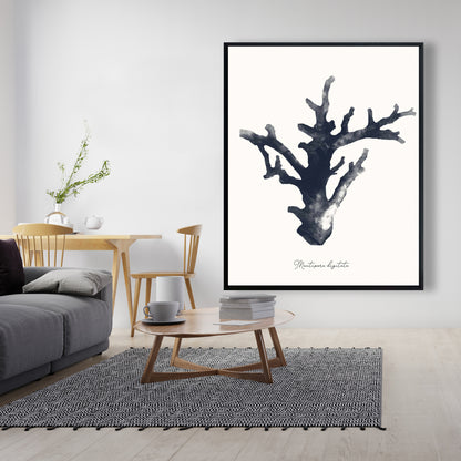 Blue Coastal Marine Canvas | Montipora Digitata Home Decor