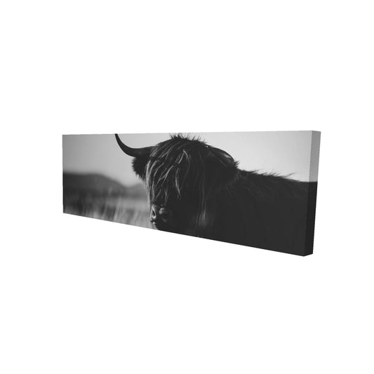 16"x48"