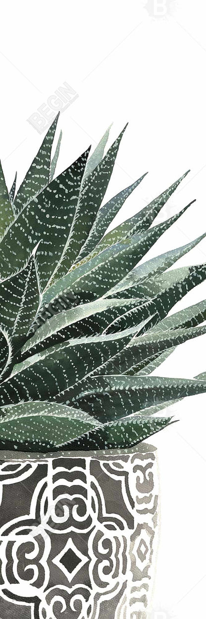 Zebra Plant Succulent Canvas - Botanical Bedroom Wall Art