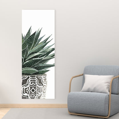 Zebra Plant Succulent Canvas - Botanical Bedroom Wall Art