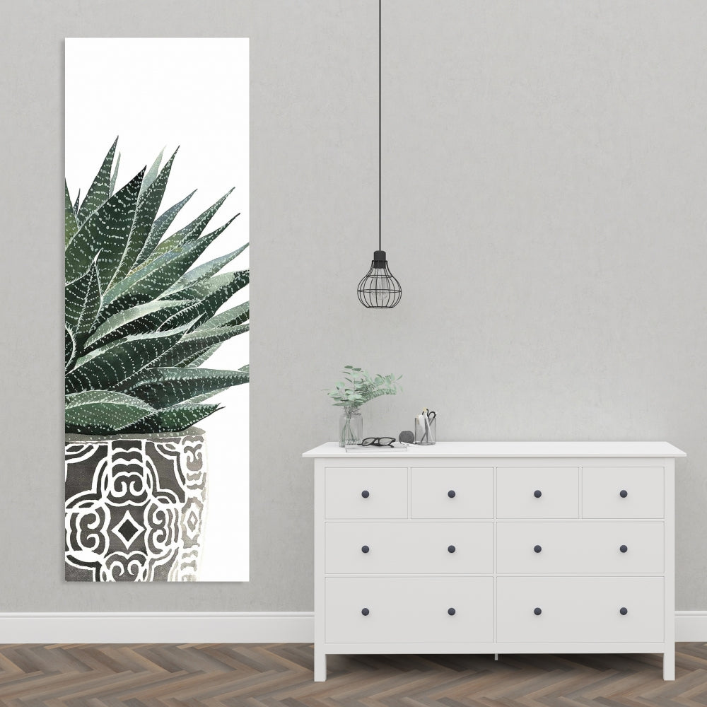 Zebra Plant Succulent Canvas - Botanical Bedroom Wall Art