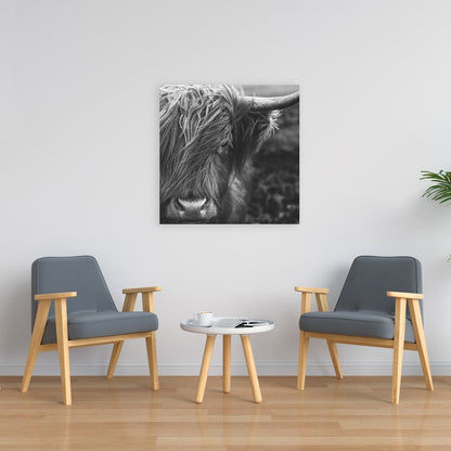 Monochrome Highland Cow Canvas | White Living Room Decor