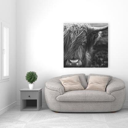 Monochrome Highland Cow Canvas | White Living Room Decor