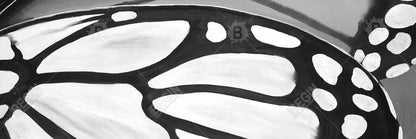 Butterfly Wings Closeup Canvas - Monochrome White Wall Art