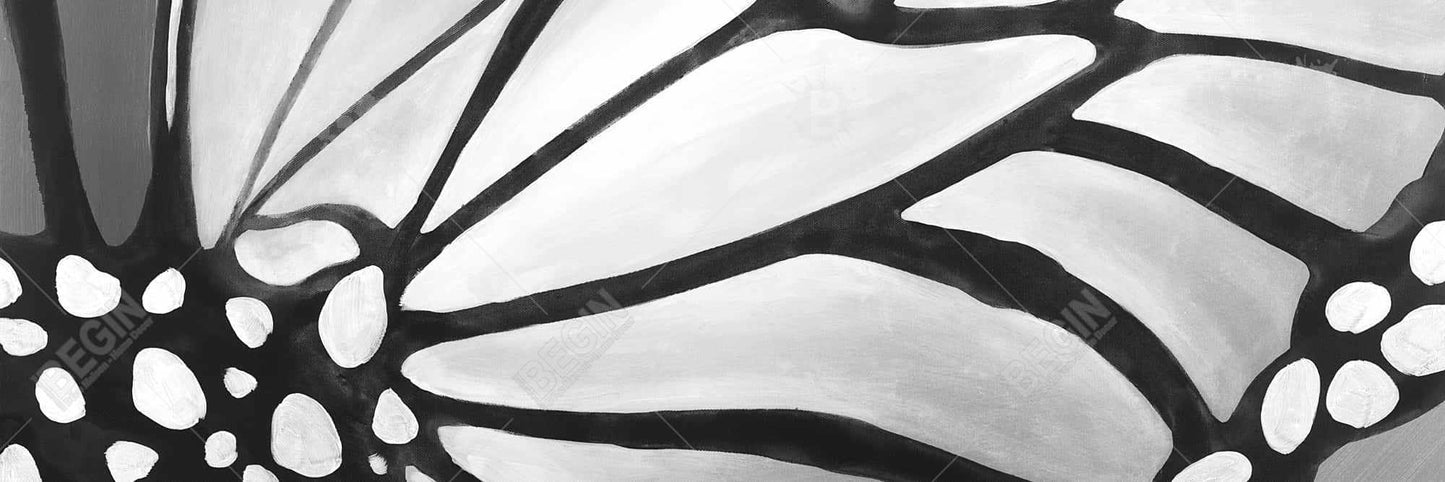 Monarch Wings Closeup Canvas | Insect Art for Home Decor