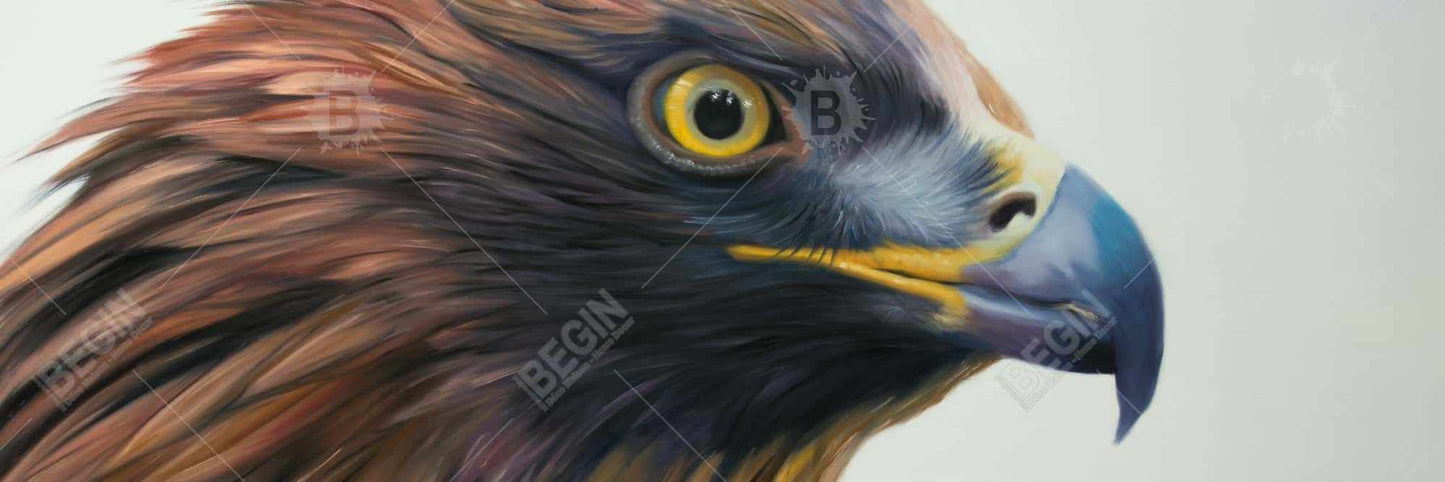 Toile d'aigle à tête brune | Décoration d'intérieur encadrée Western Brown