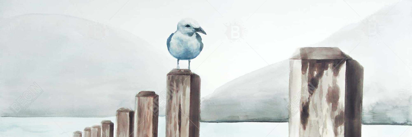 Mouette à la marina | Toile encadrée bleu marine