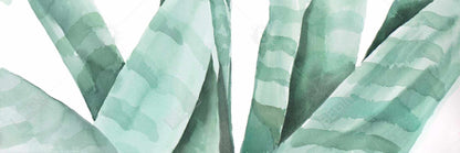 White Botanical Exotic Framed Canvas - Watercolor Desert Plant