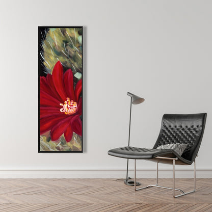 Fleur de cactus rouge Echinopsis | Toile décorative encadrée noire