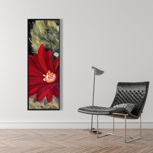 Fleur de cactus rouge Echinopsis | Toile décorative encadrée noire