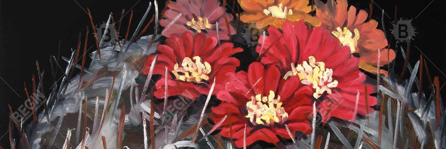 Cactus Mammillaria en fleurs | Toile encadrée florale