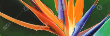 Bird of Paradise Flower Canvas | Green Botanical Home Decor