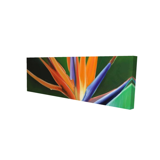 16"x48"