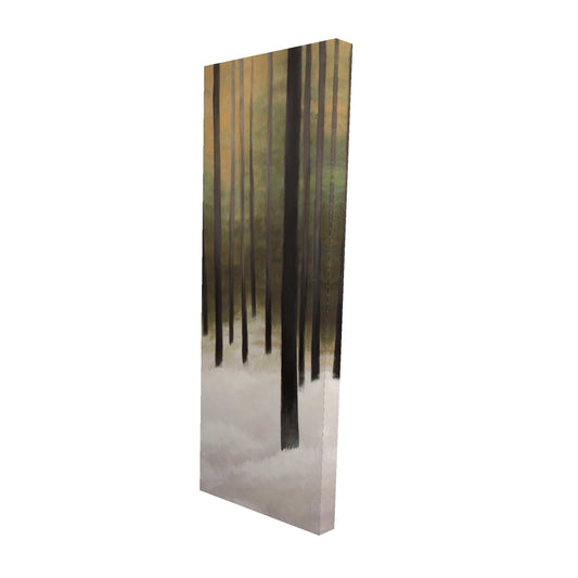 16"x48"