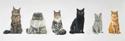 Illustrative Canvas of Six Cats Lined Up - Home Decor Wall Art