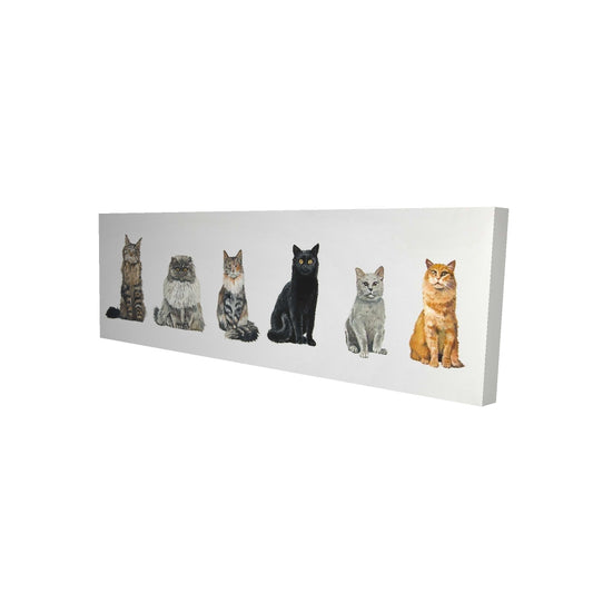 16"x48"