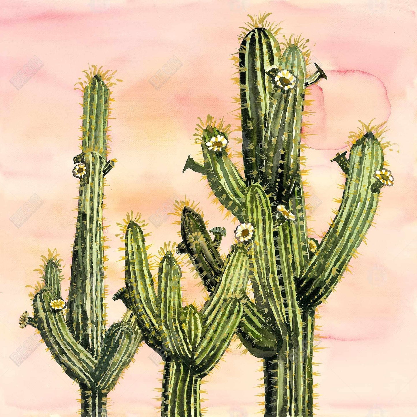 Pink Floral Weberocereus Cactus Canvas | Botanical Home Decor
