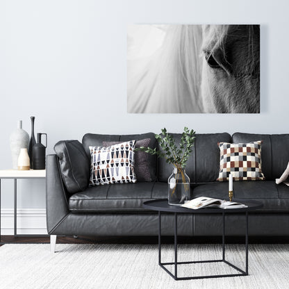 White Horse Eye Canvas | Farm Animal Gray Decor Wall Art