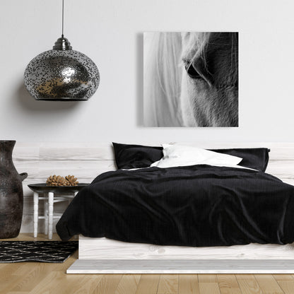 White Horse Eye Canvas | Farm Animal Gray Decor Wall Art