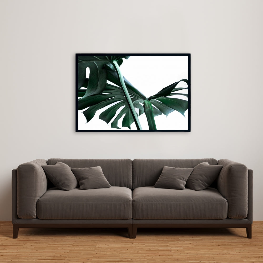 Décor de toile encadrée botanique exotique Monstera Deliciosa