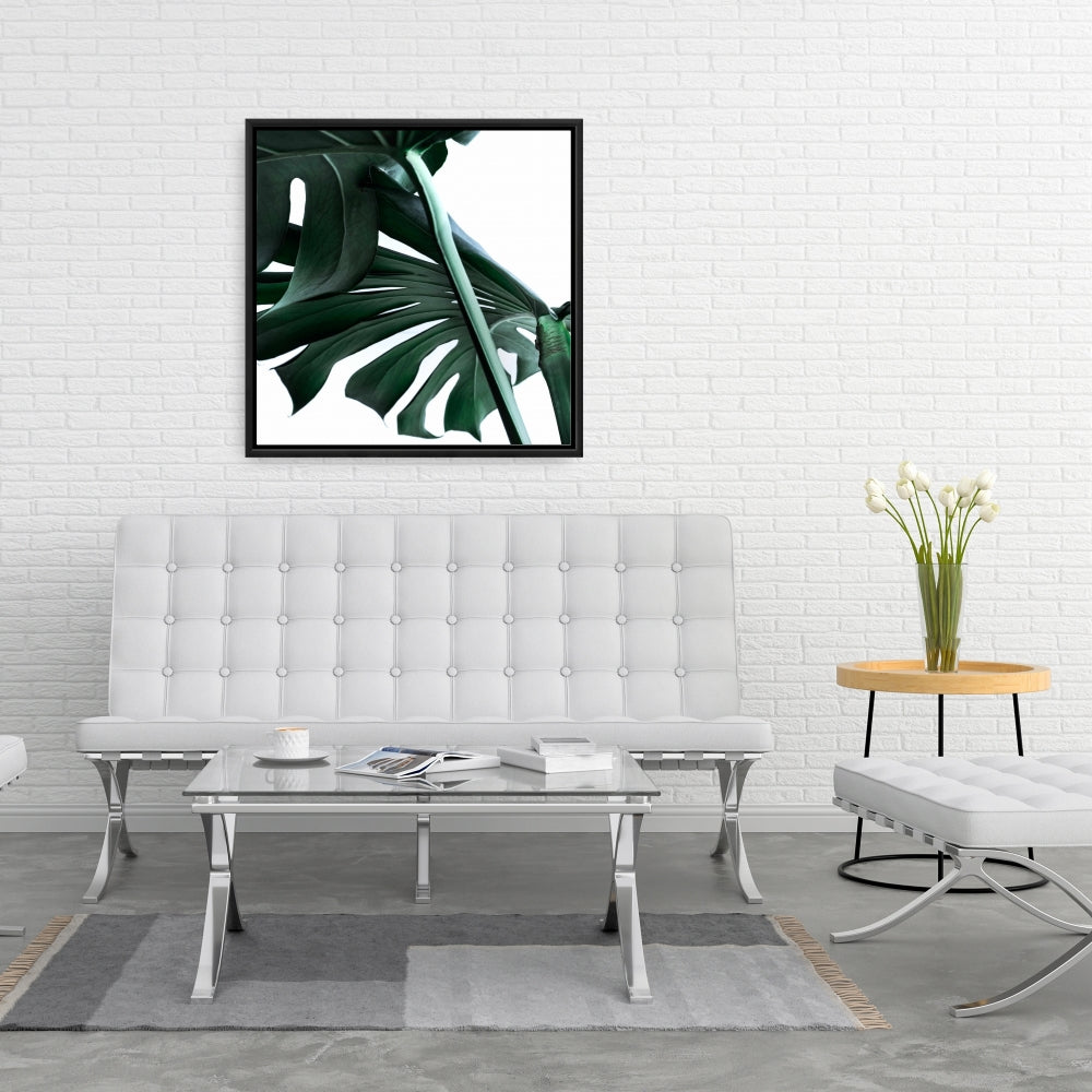 Décor de toile encadrée botanique exotique Monstera Deliciosa