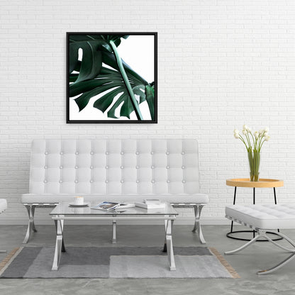 Décor de toile encadrée botanique exotique Monstera Deliciosa