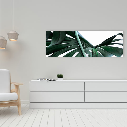 Exotic Monstera Deliciosa Canvas - Green Bedroom Home Decor