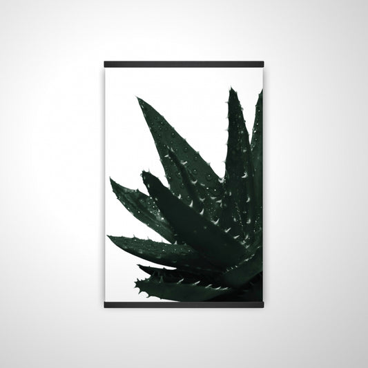 20"x30"