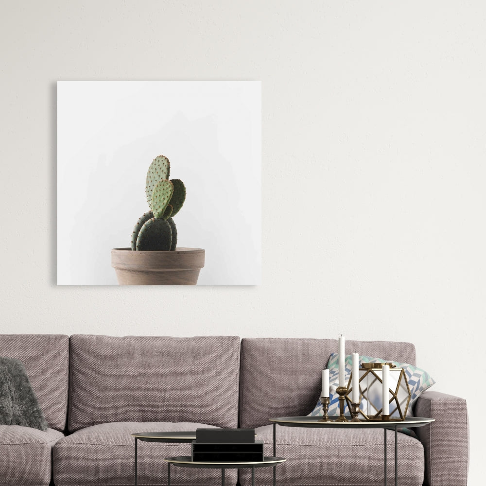 Potted Cactus Canvas | Exotic Botanical Bedroom Wall Art Decor