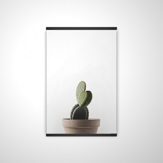 20"x30"