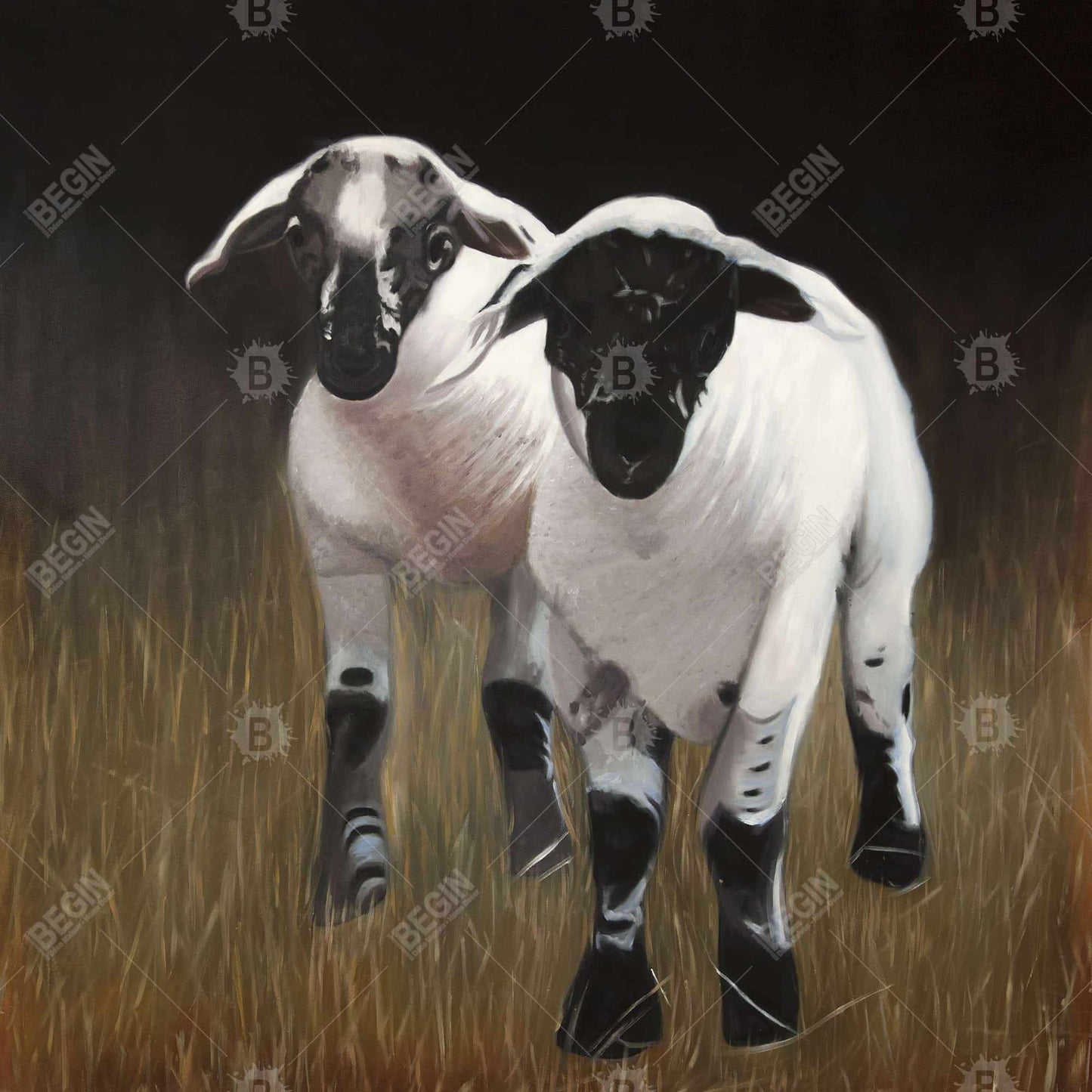 Two Lambs Black Canvas - Farm Animals Home Decor Artwork