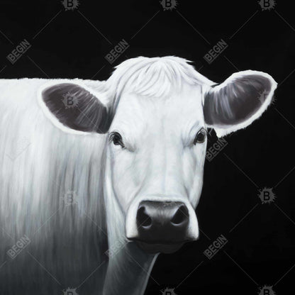 White Cow Framed Canvas | Farm Animal Monochrome Home Decor