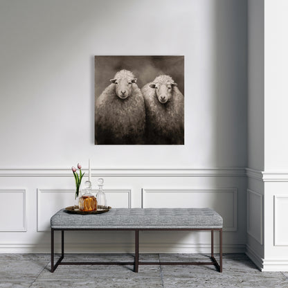 Sheep Sepia Canvas - Farm Animal Art for Home Decor