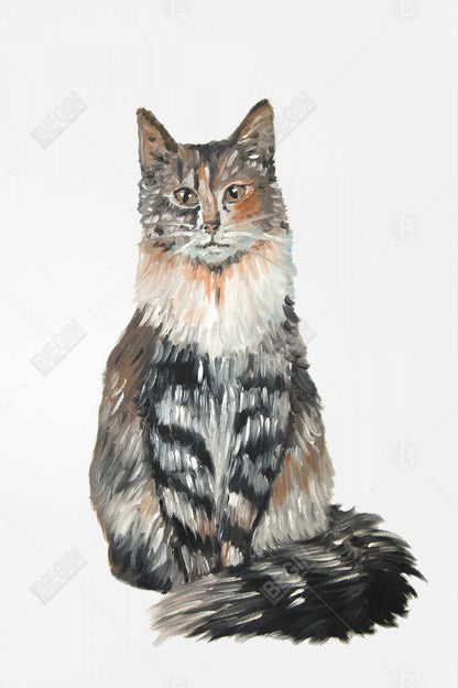 Norwegian Forest Cat Framed Canvas - Home Decor for Pet Lovers