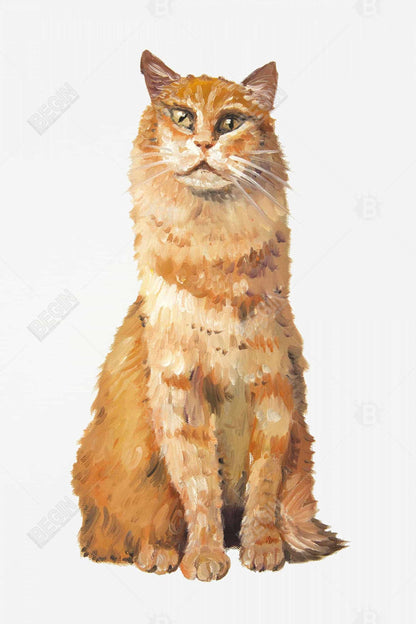 Toile encadrée orange « Chat roux » | Décoration d'intérieur pour animaux de compagnie