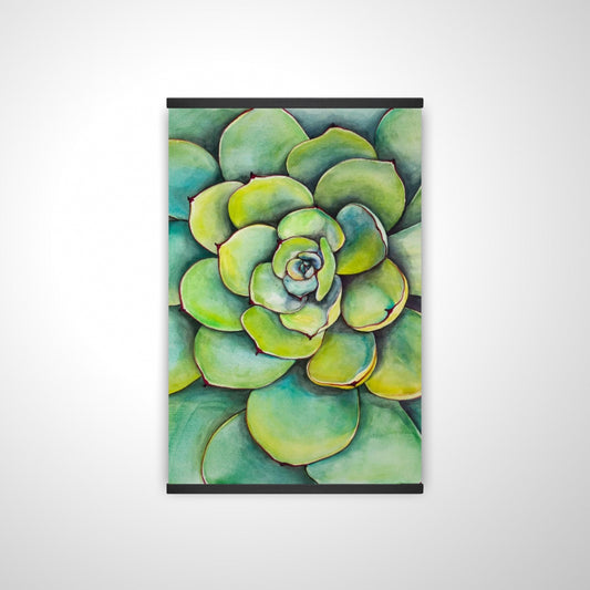20"x30"