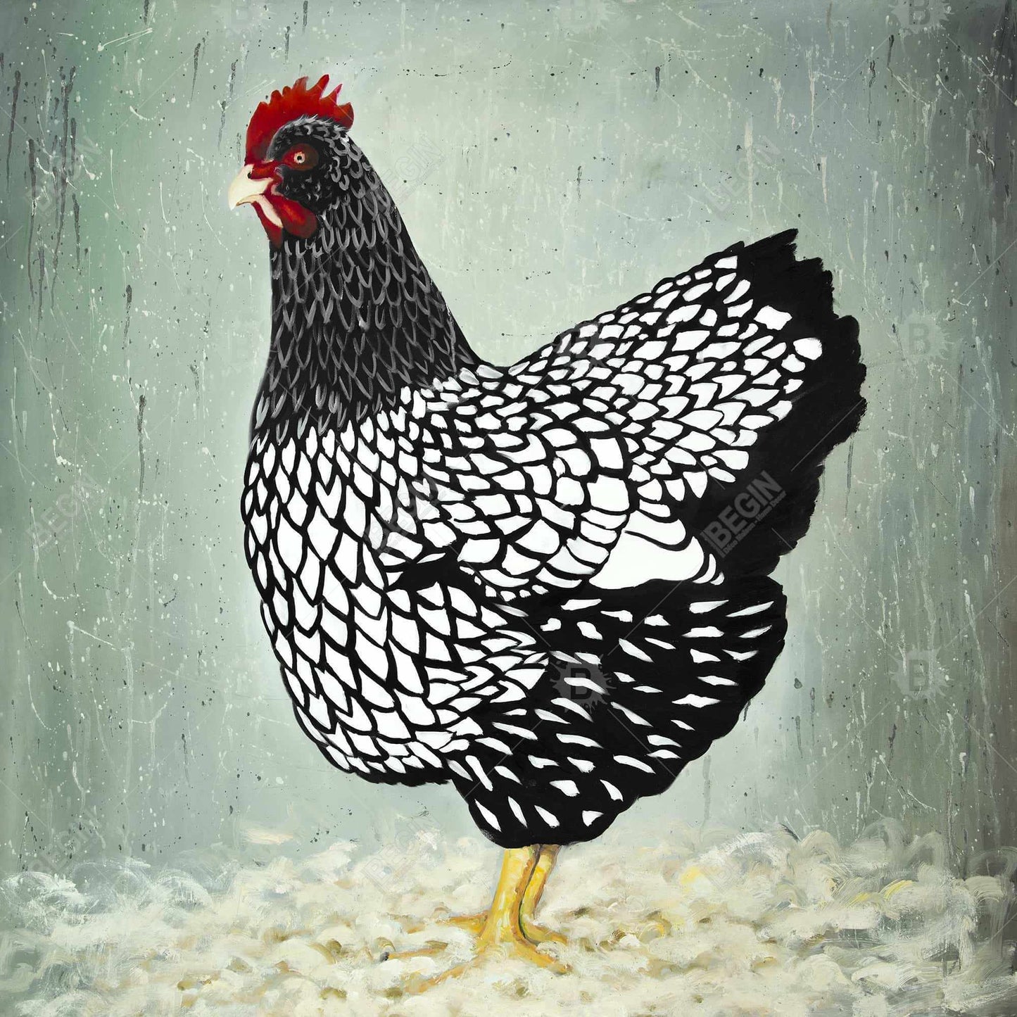 Black Rustic Wyandotte Hen Canvas | Farmhouse Home Decor