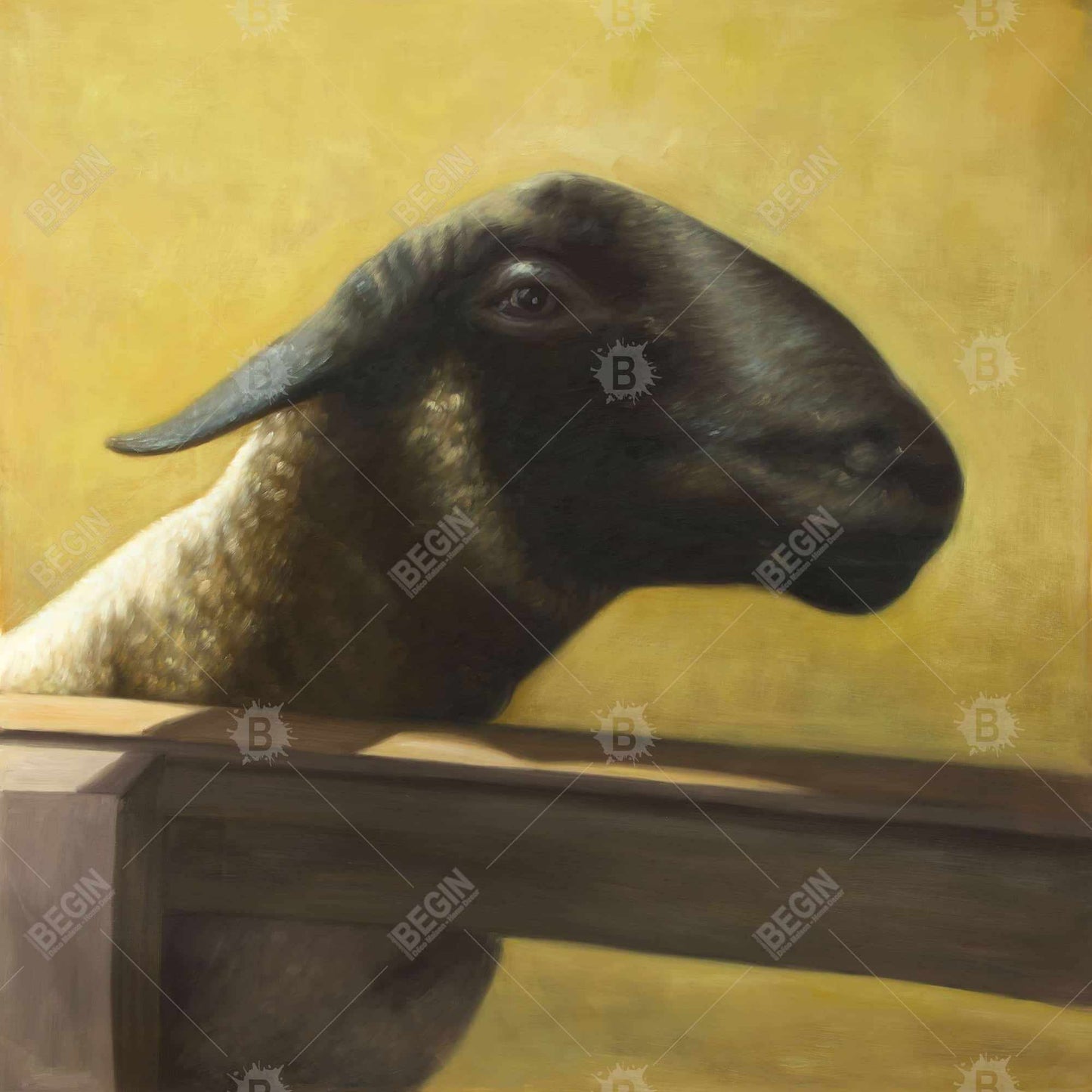 Toile représentant un jeune bélier | Décoration animalière marron pour le salon