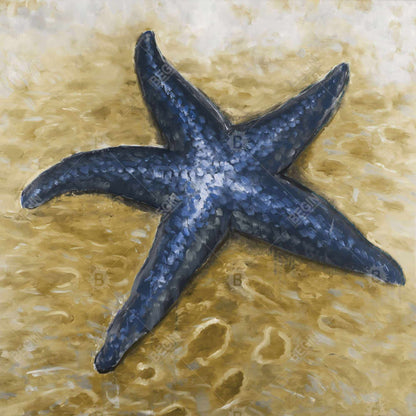 Beige Starfish Canvas - Marine Decor for Home - Aquatic Art