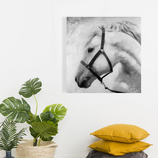 Gray Horse Canvas - Darius the Horse | Bedroom Wall Art Decor