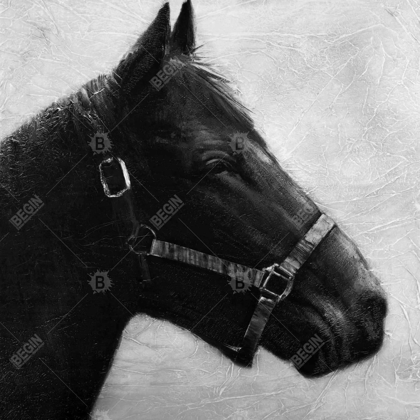 Toile « Galopin le cheval » | Décoration encadrée d'animaux gris