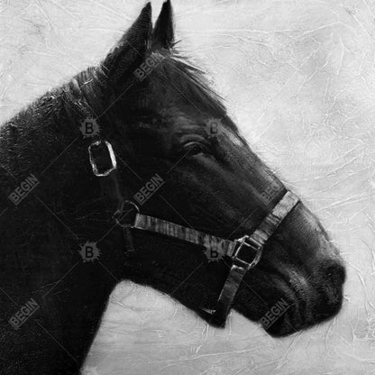 Toile « Galopin le cheval » | Décoration encadrée d'animaux gris