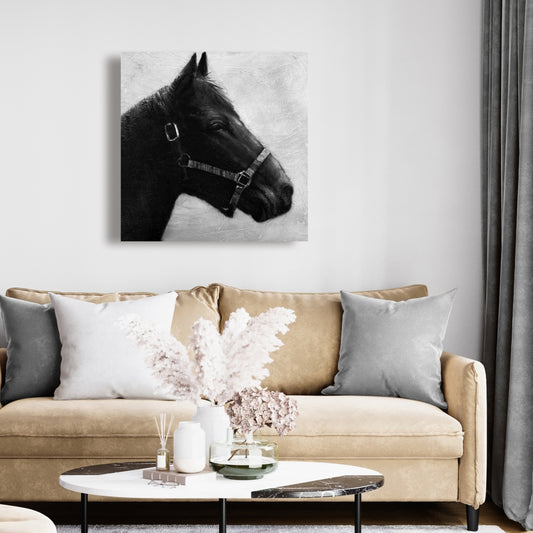 Gallopin the Horse Gray Canvas - Farm Animal Bedroom Decor