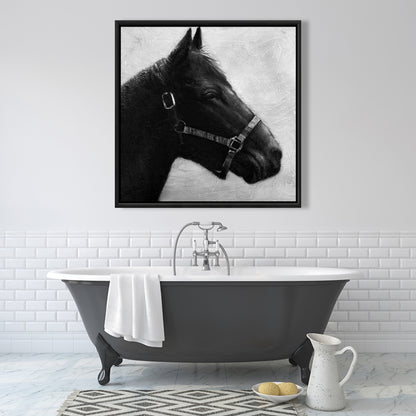 Toile « Galopin le cheval » | Décoration encadrée d'animaux gris