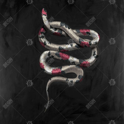 Modern Black Canvas Snake Flowers | Bedroom Home Decor Art
