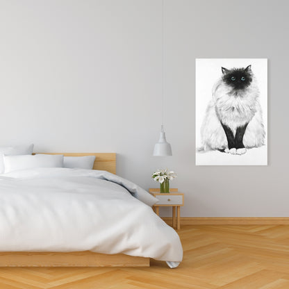 Blue Eyes Fluffy Siamese Cat Canvas | Minimalist Home Decor
